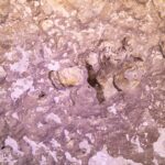 Detail růžové a bílé skály na stěně cenoty, s dutinami, zachycenými vzduchovými bublinami a krápníky