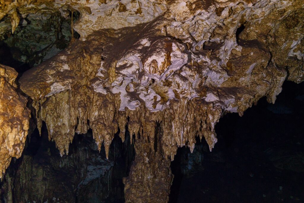 Hnědobílý vápencový strop posetý krátkými stalaktity, nasvícený svítilnou, v kaverně Dos Ojos