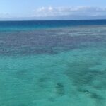 Laguna shora, tyrkysová voda s tmavými skvrnami korálových bloků, vpravo bariéra, o kterou se lámou vlny, a na obzoru hory ostrova Grande Terre