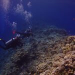 Dva potápěči plavou podél vnější stěny Blue Hole, pokryté tvrdými korály a anthiasy, vlevo hluboká modř