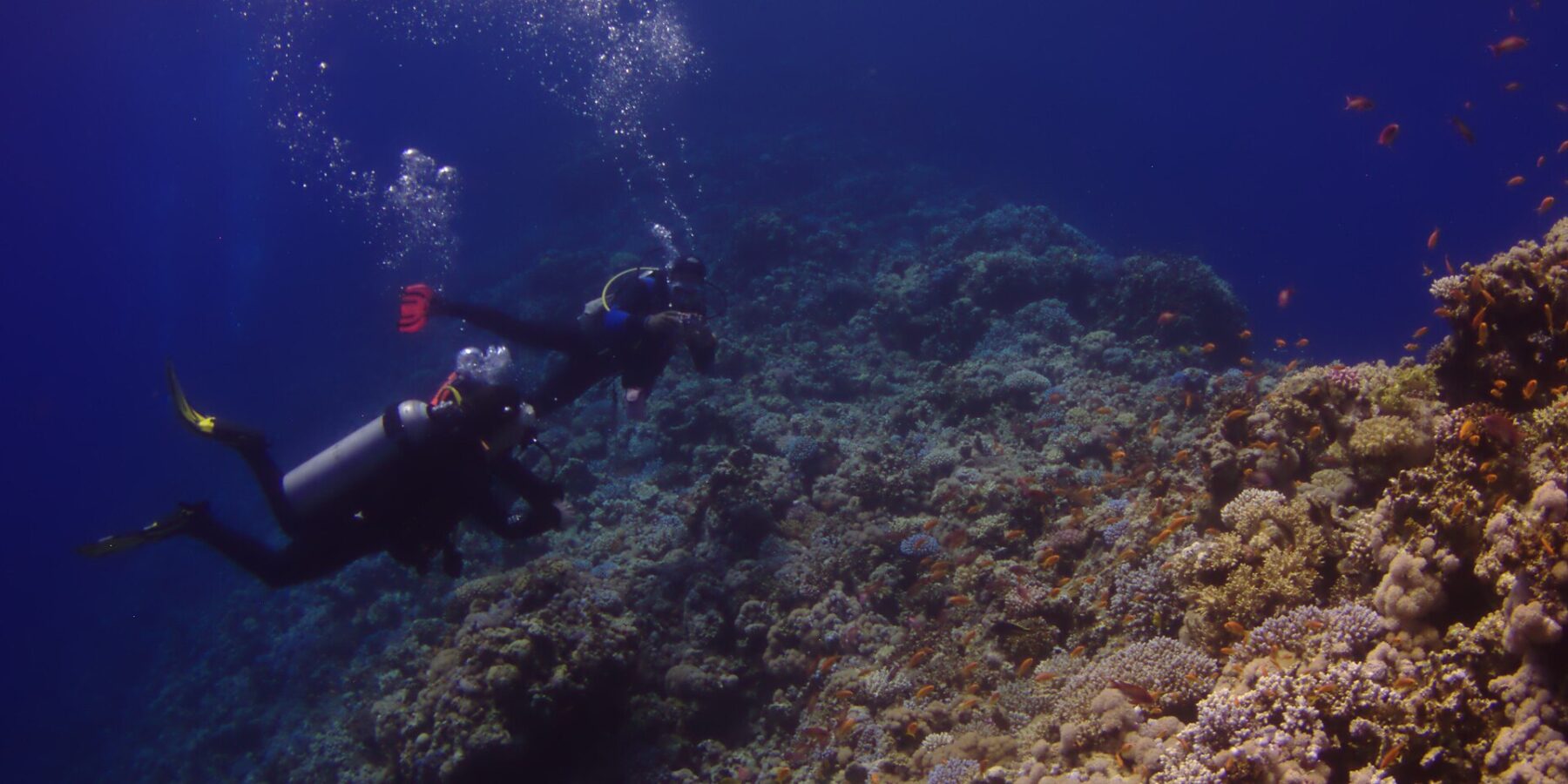 Dva potápěči plavou podél vnější stěny Blue Hole, pokryté tvrdými korály a anthiasy, vlevo hluboká modř