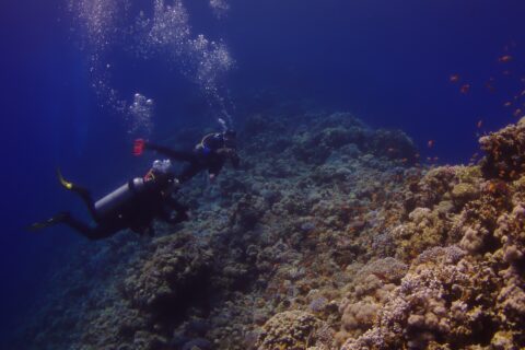 Dva potápěči plavou podél vnější stěny Blue Hole, pokryté tvrdými korály a anthiasy, vlevo hluboká modř